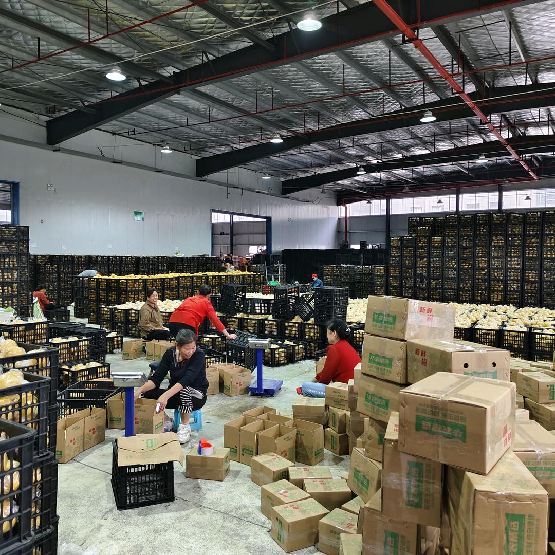 洪江市小农特产店