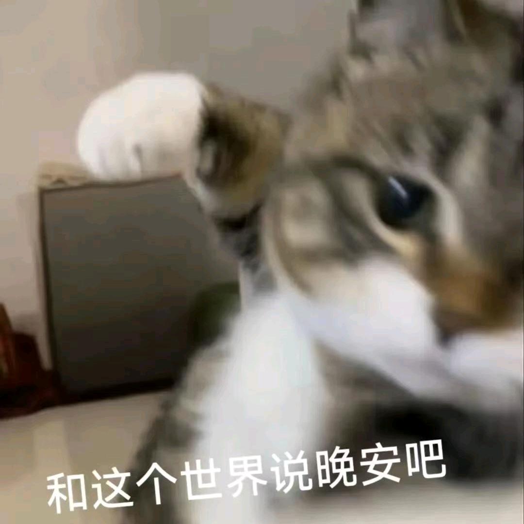 小熊猫～