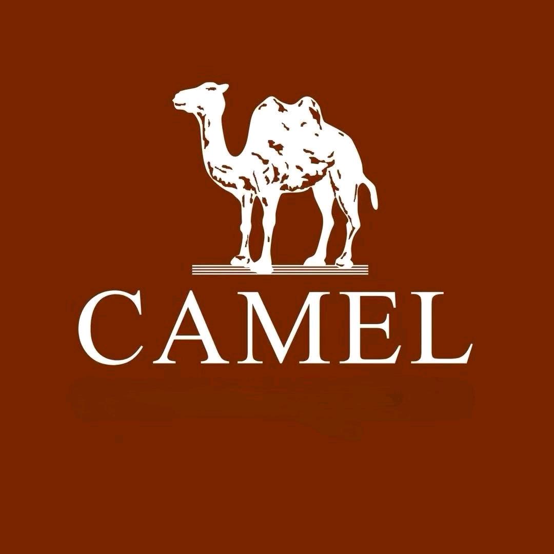 CAMEL骆驼羽绒服直播间