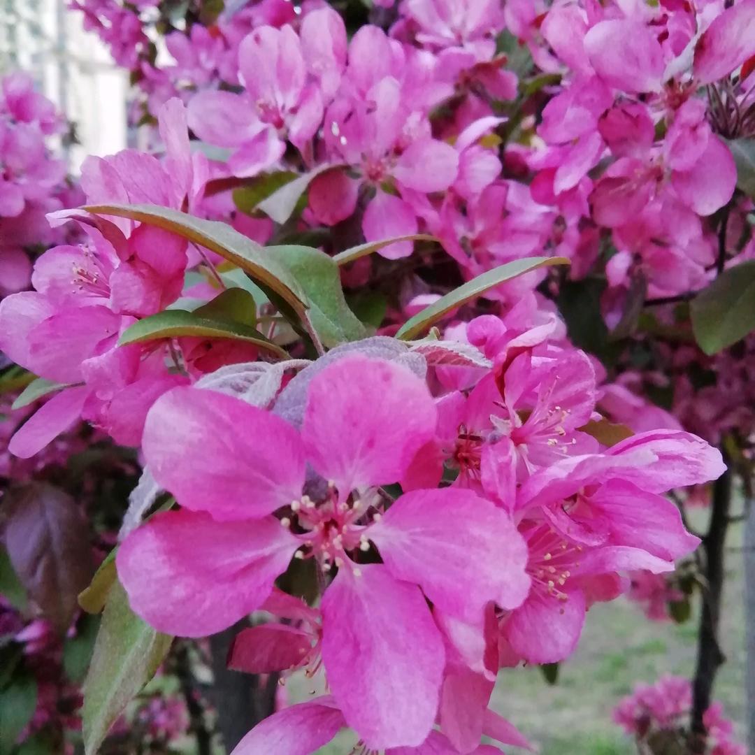 陈辰.