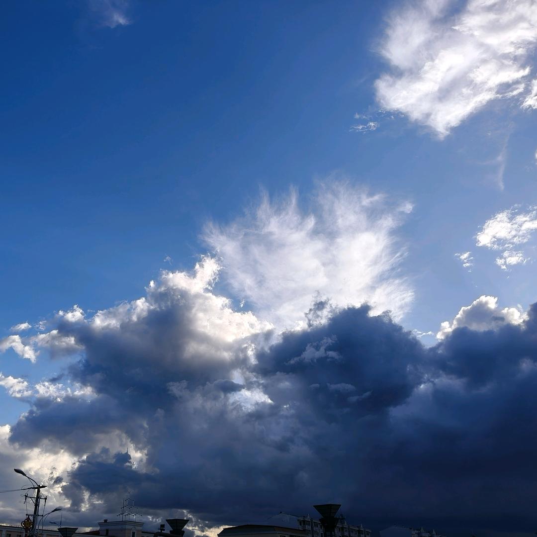 36.5℃