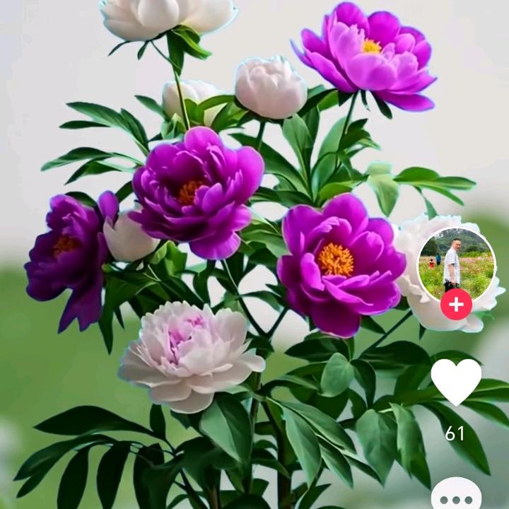 用户3840990110697