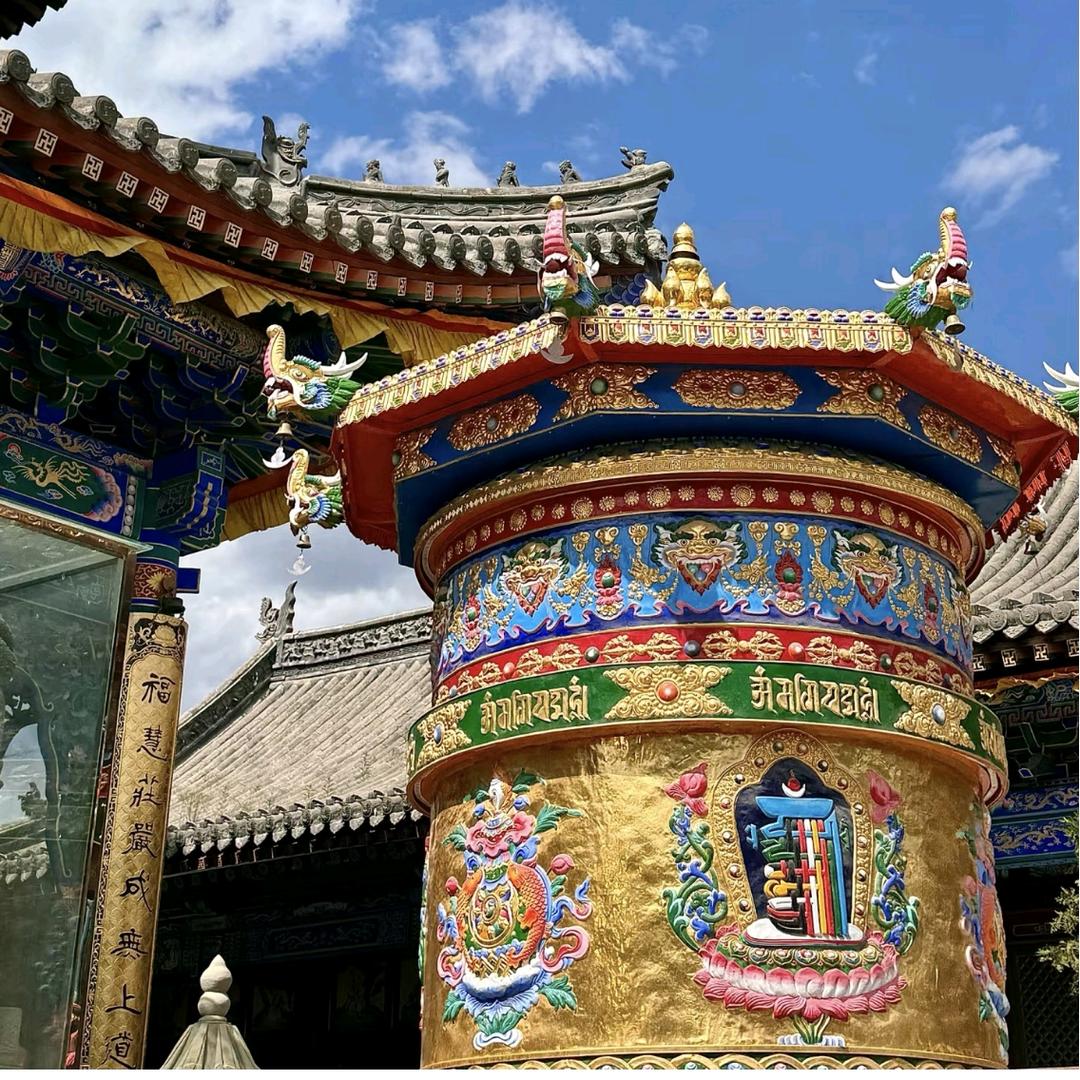 大月🐽带你去旅游（心愿之旅）