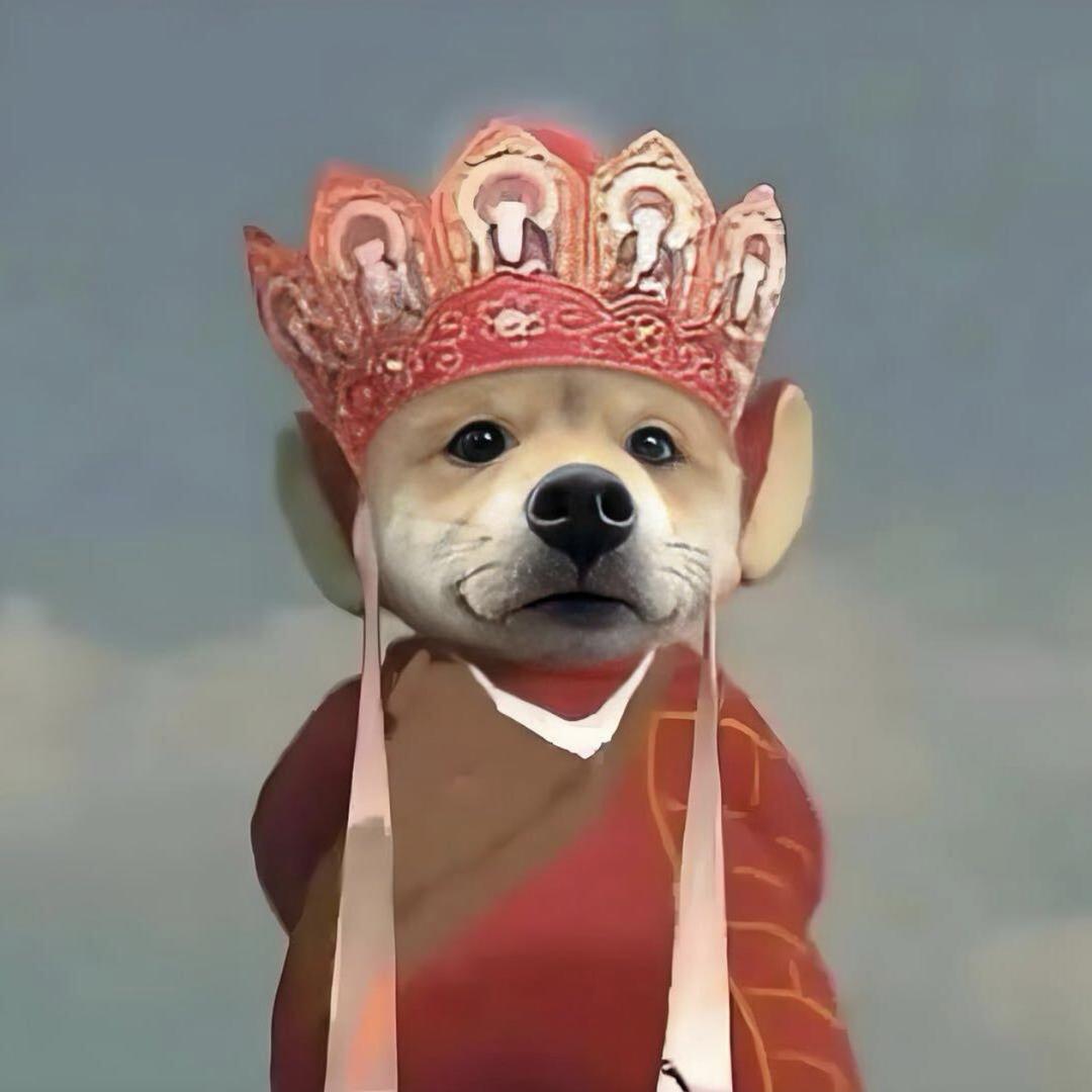 西装只穿派乐蒙