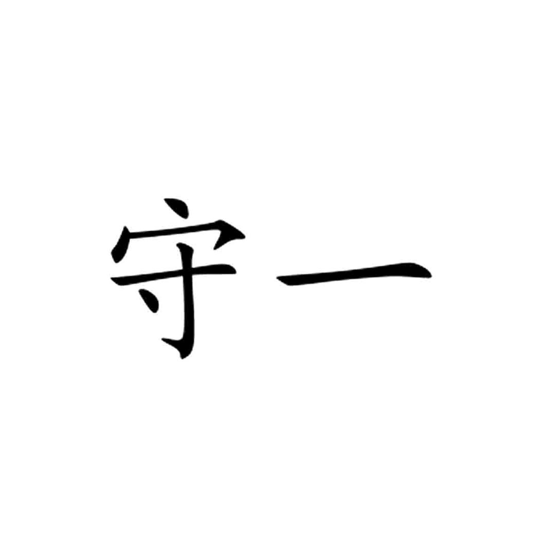 赵守一（有一说一）