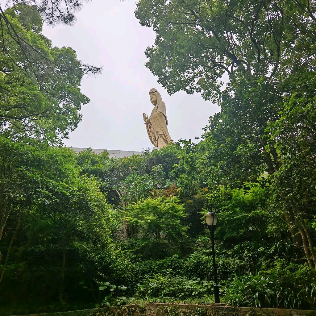 💫强di，1👍✨🚀🚀