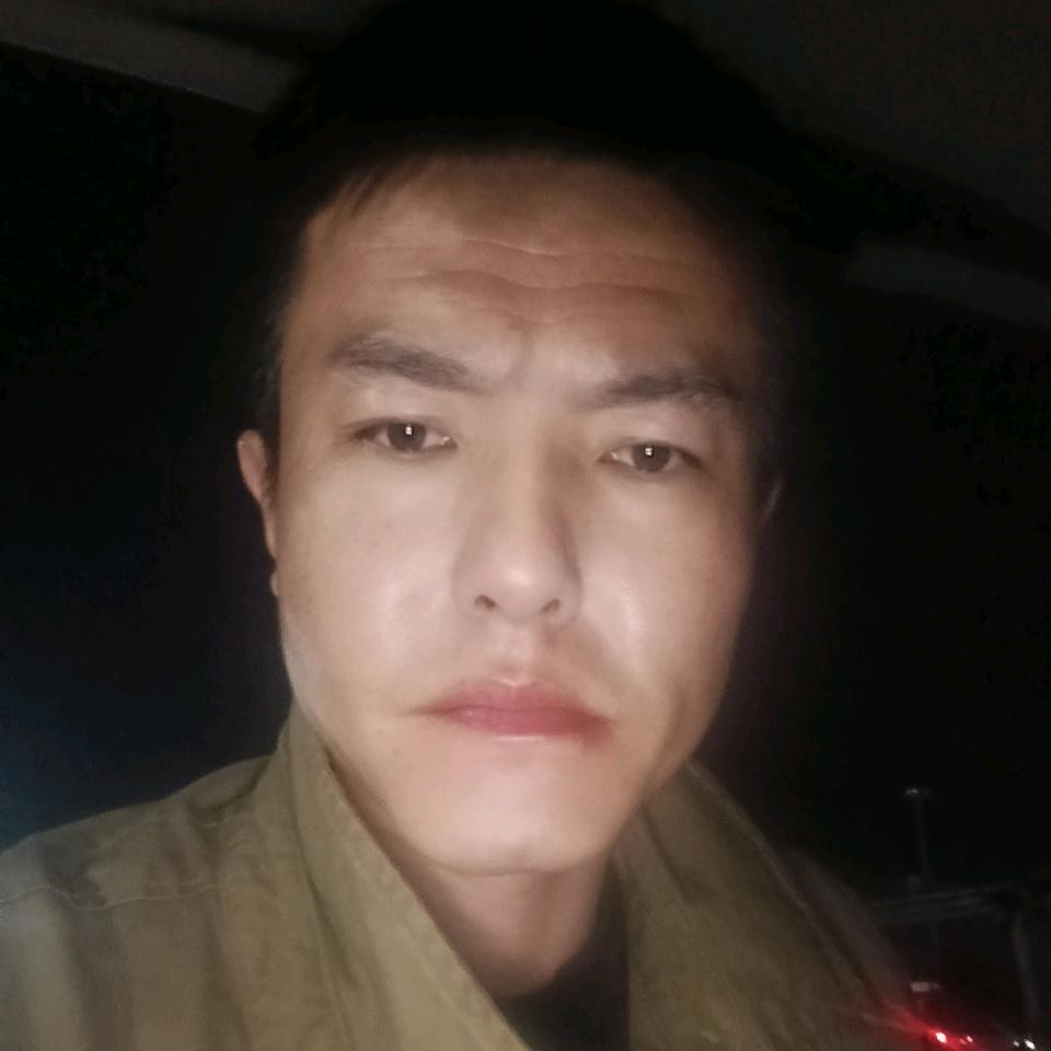 沉默，睿智的小狮子