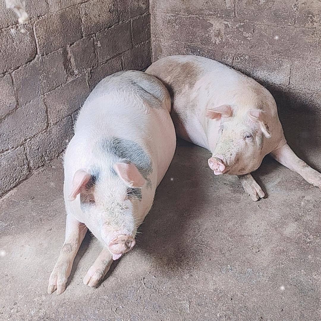 钦州单身靓仔30岁认真找对象