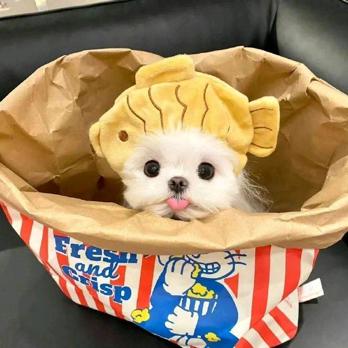 ʚ🐰ɞ  𝗕𝗮𝗯𝘆