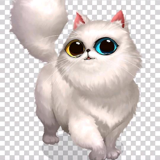 咖啡猫喵喵