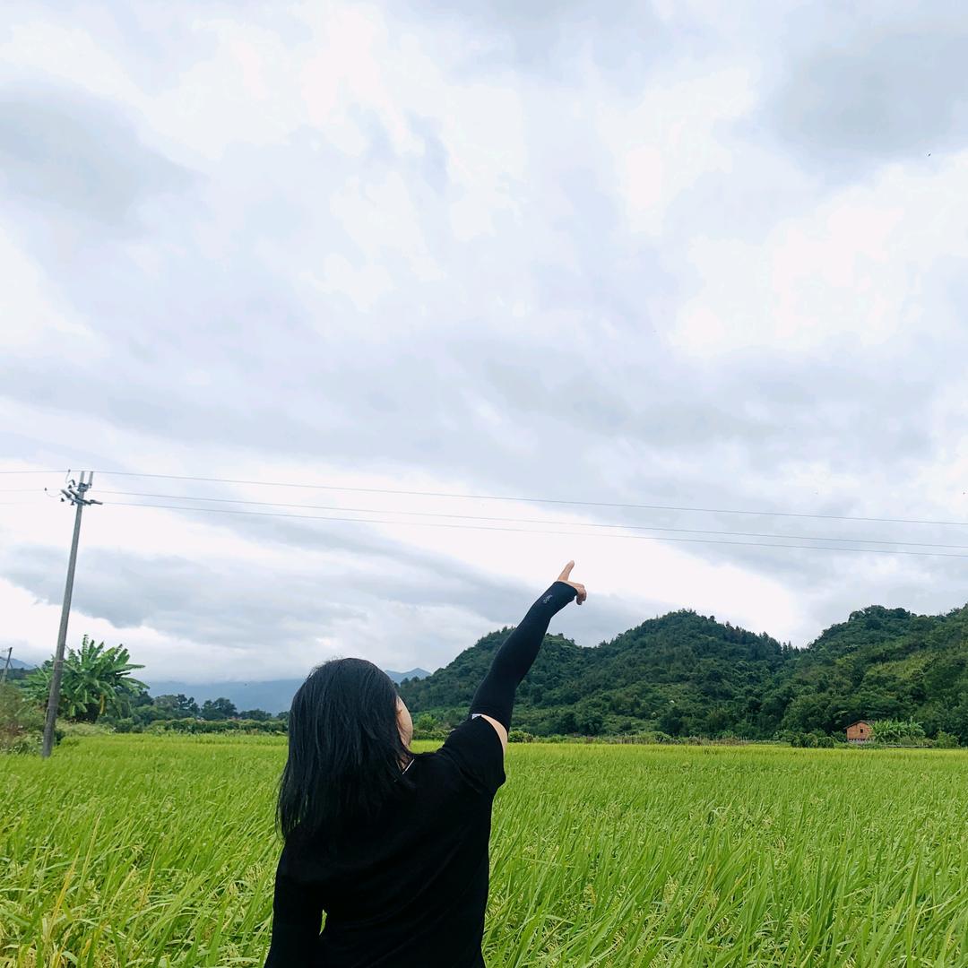 子木