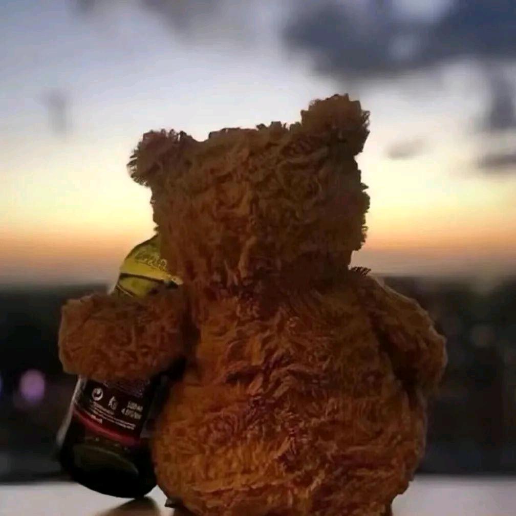 余生用尽只为你