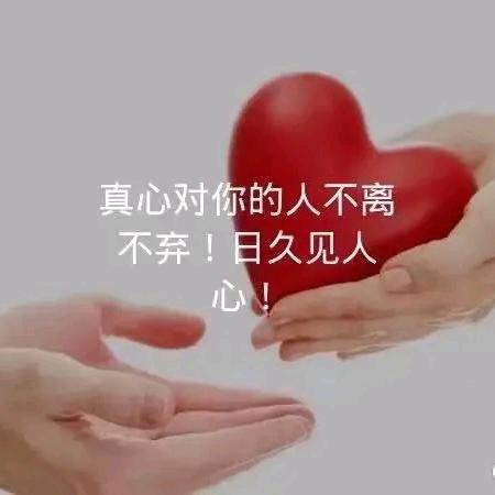 独酌伊人泪°み