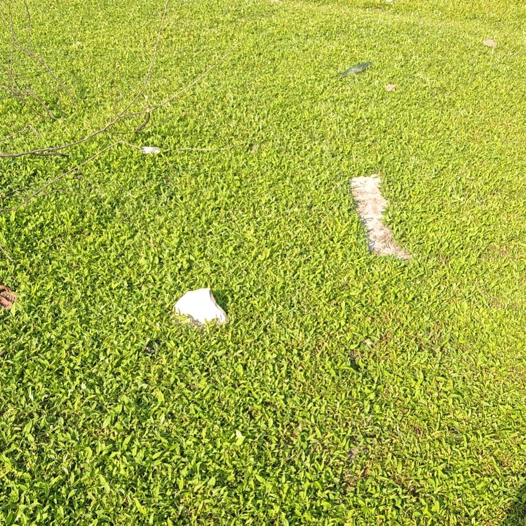 💕陳秒記憶🪯