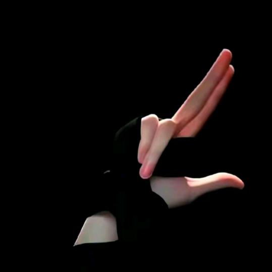 左耳