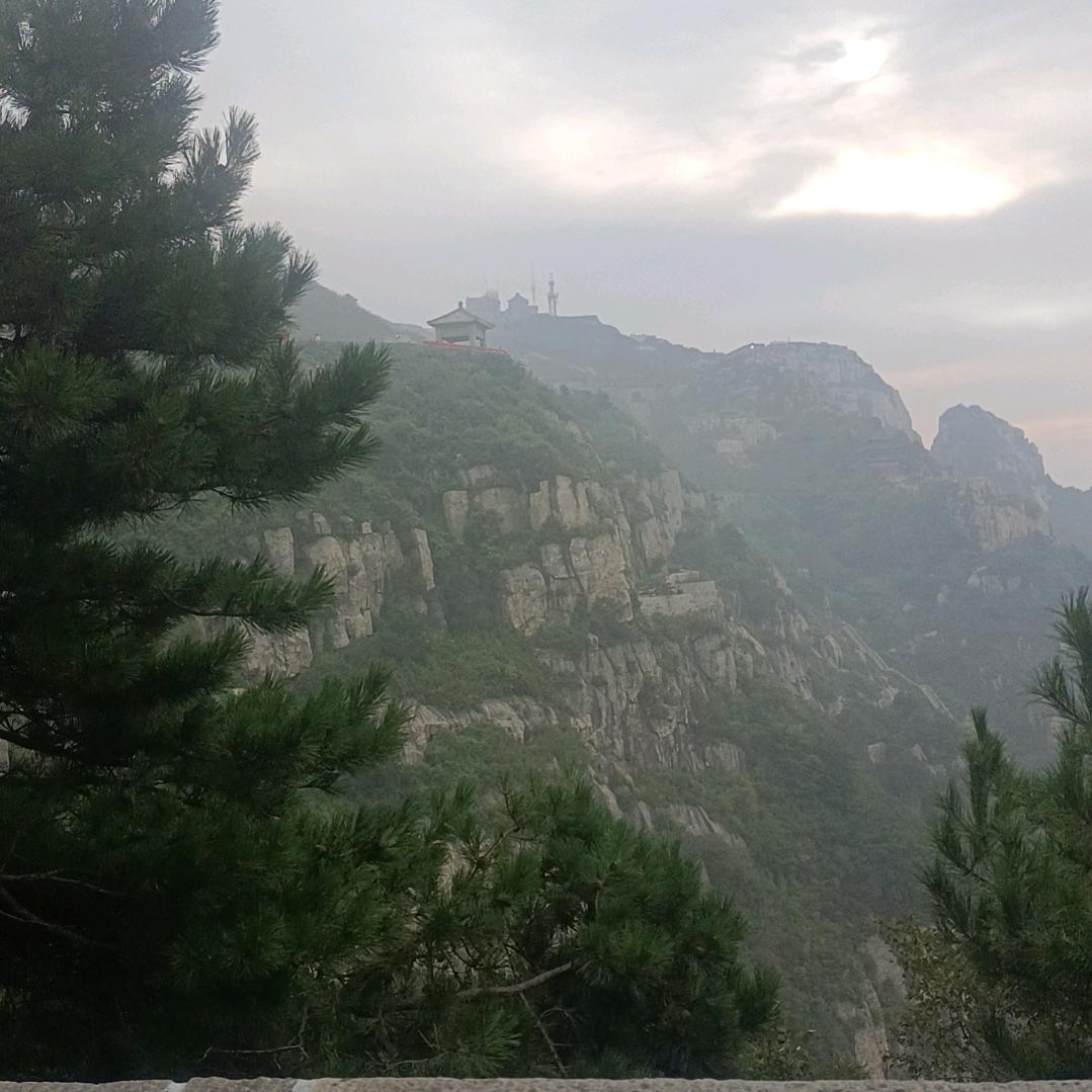殊不知