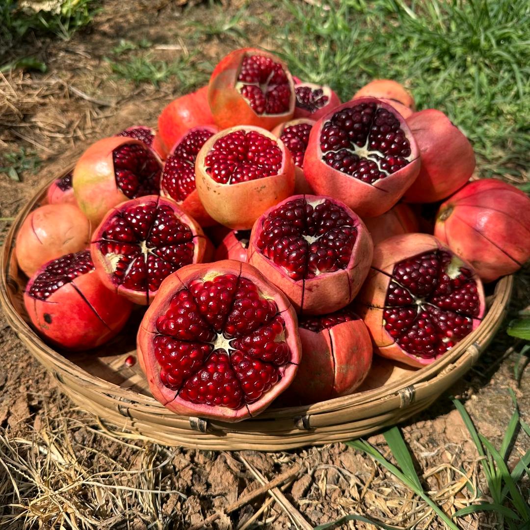 小翔哥水果管家