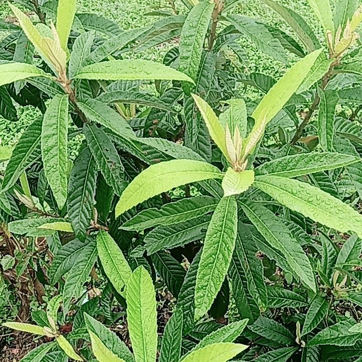 话题