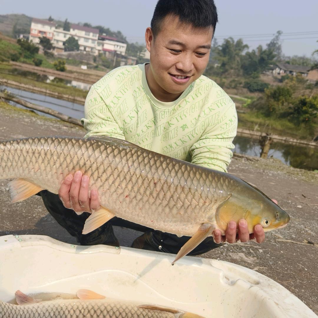 大超