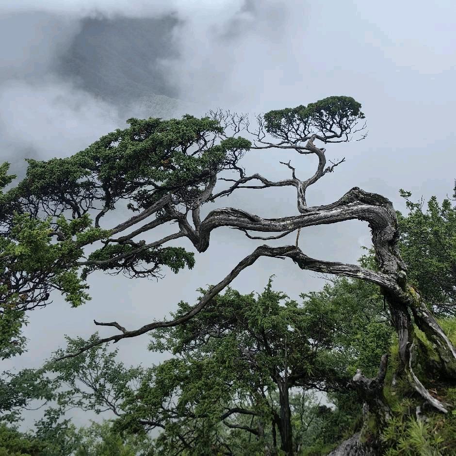 纳佰味供应链（潍坊公司）