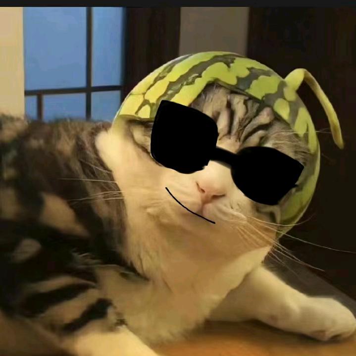 西瓜的猫
