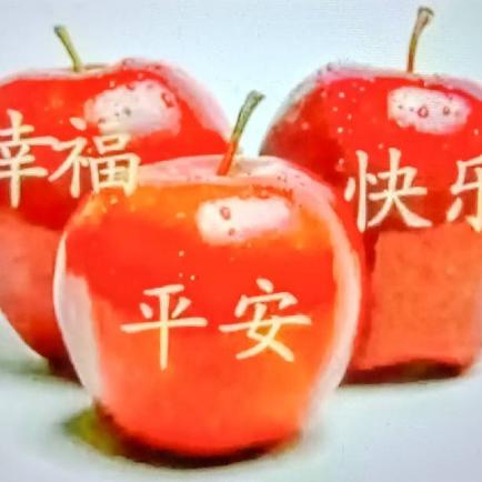 幸福老文