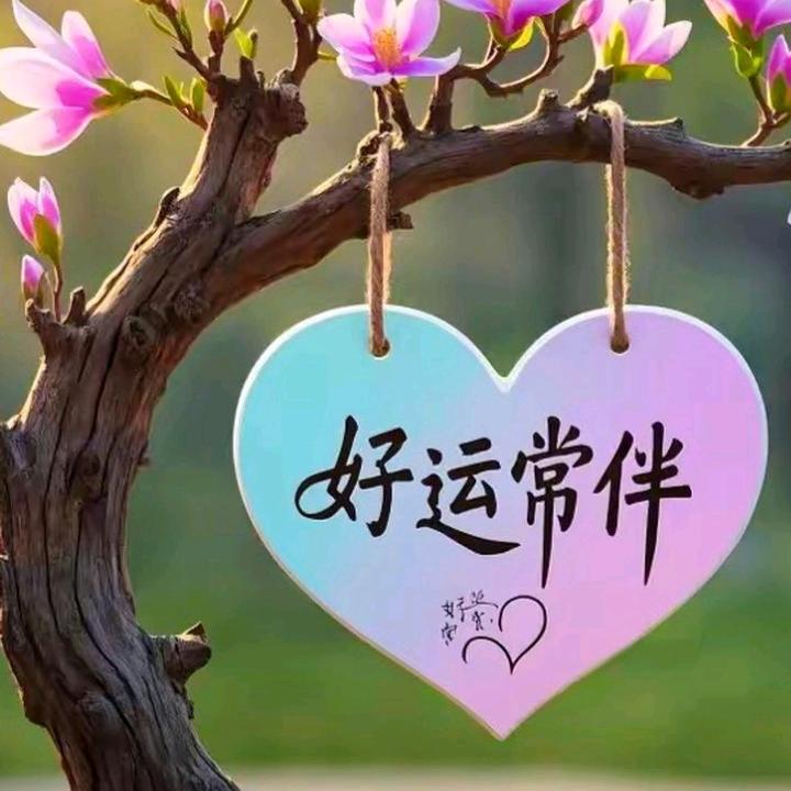 忘了曾经的她