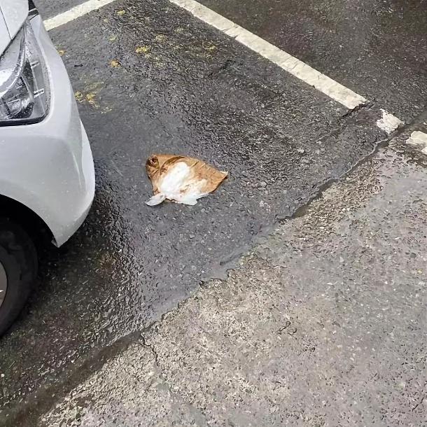 周青悦