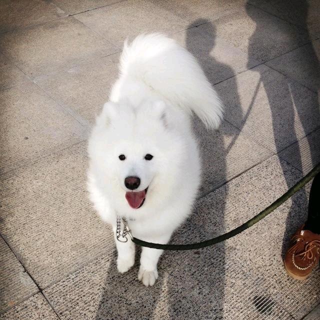 小董❤️