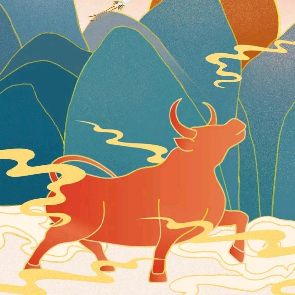 小照陪你开公司