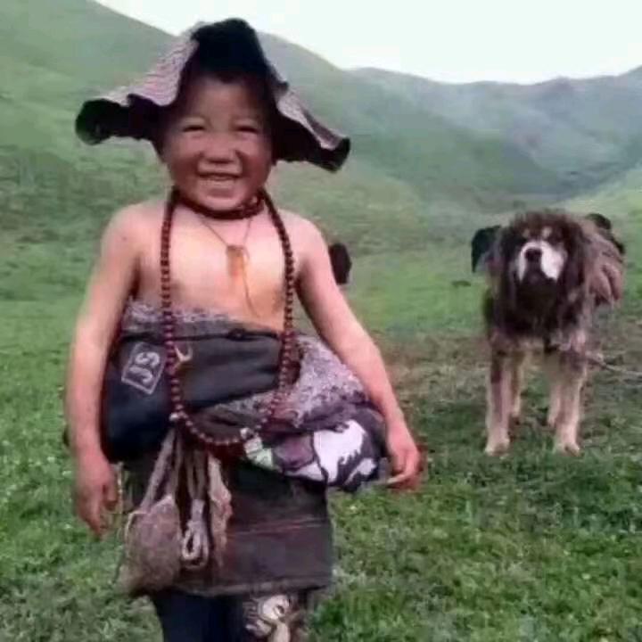 自信雄鹰