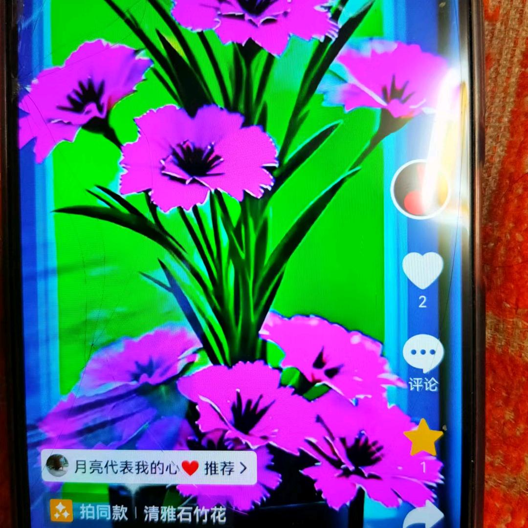 月亮代表我的心❤