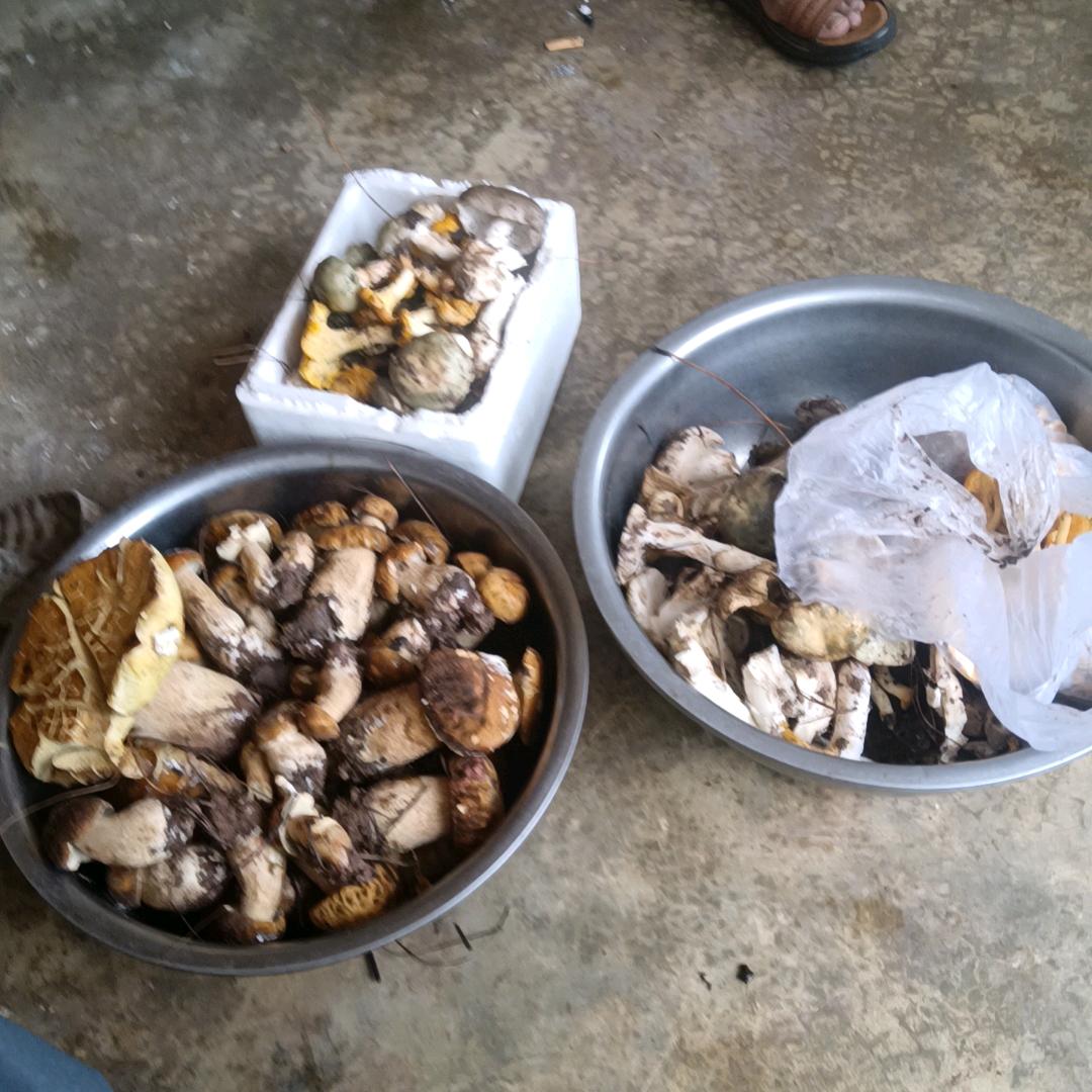 大殿下