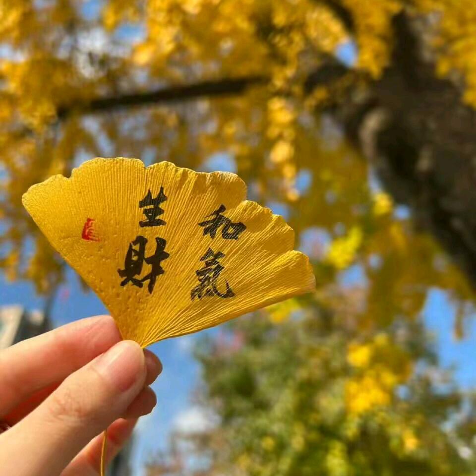 马卡龙