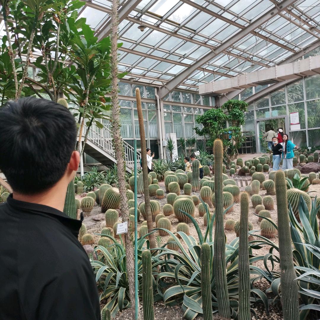 潮玩