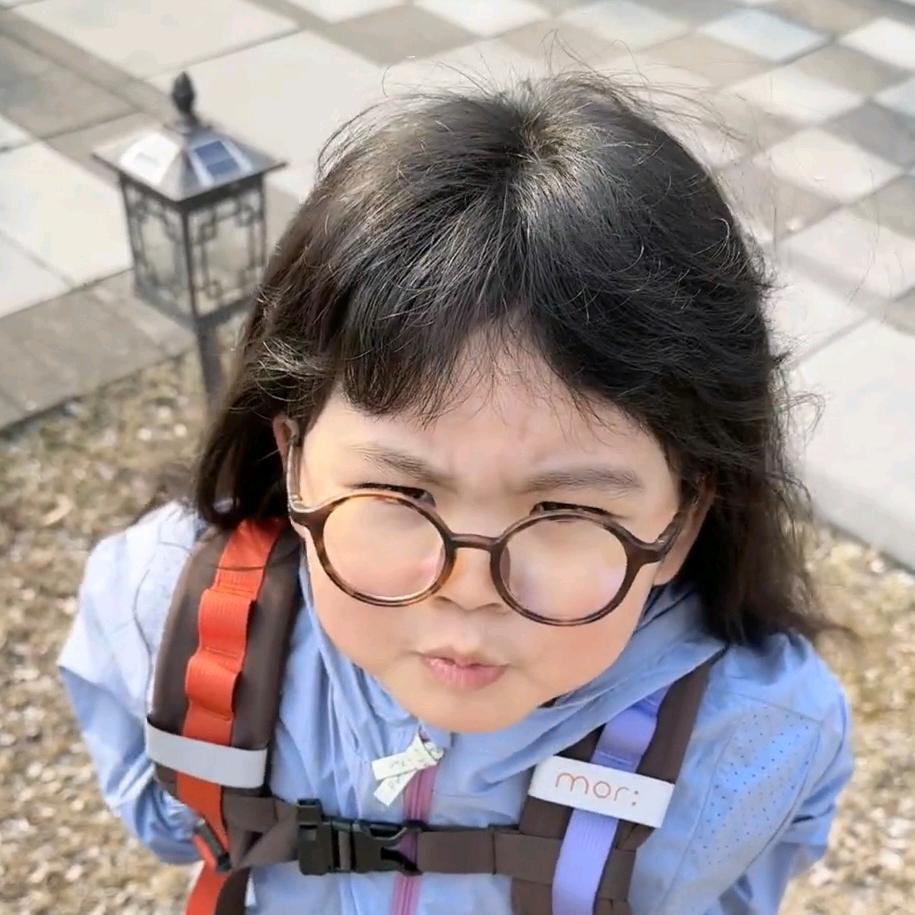 前额叶首席执行官