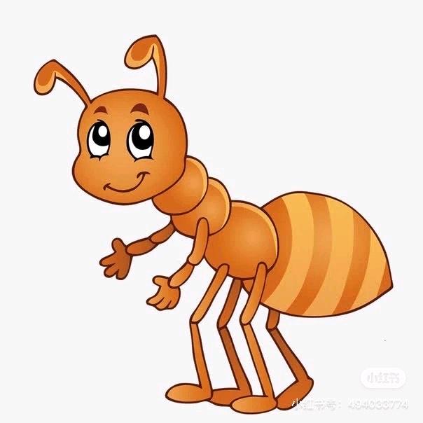 🐜🐜🫧🫧🫧