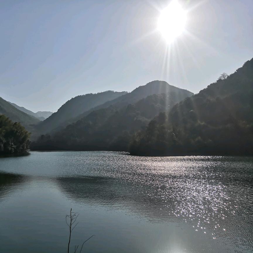 向阳宁静