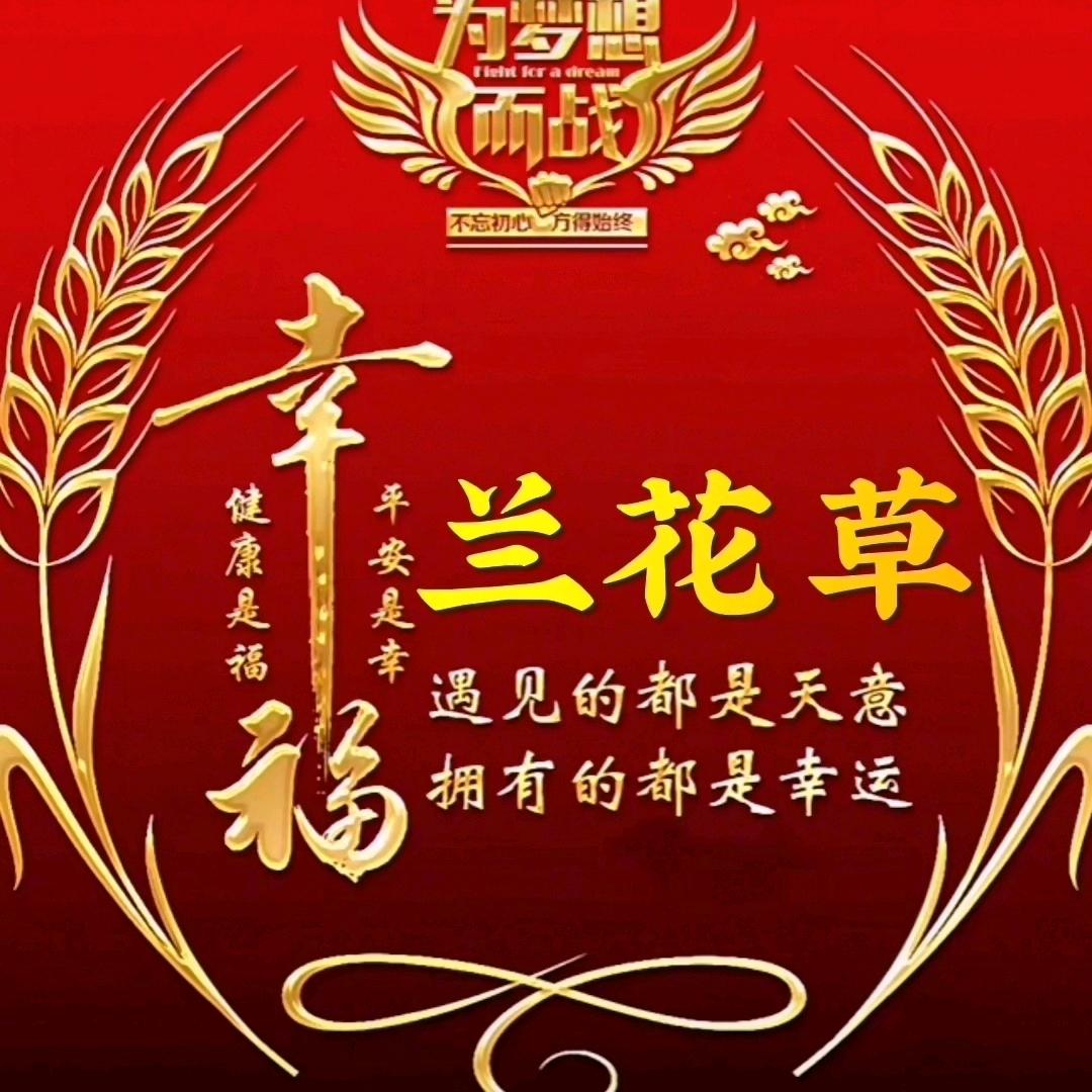 兰花草🌸拒绝私聊