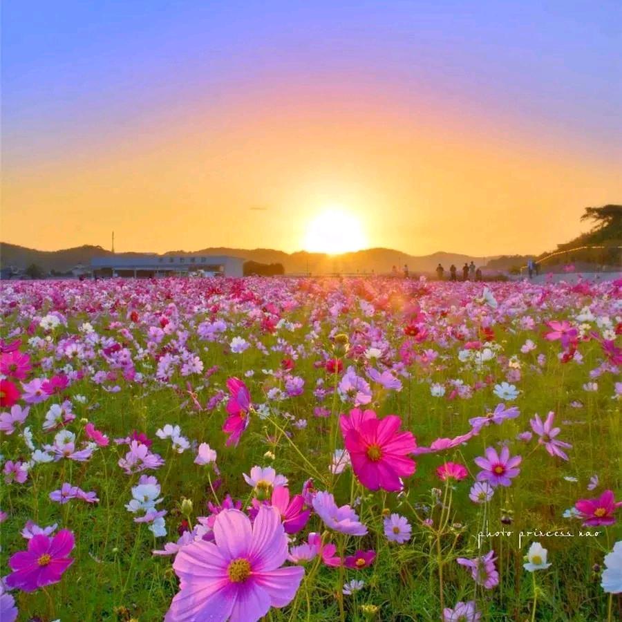 学无止境💐（拒私聊）