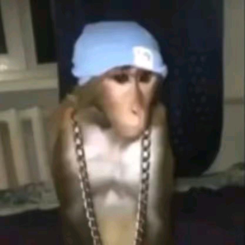 贾斯汀比猴