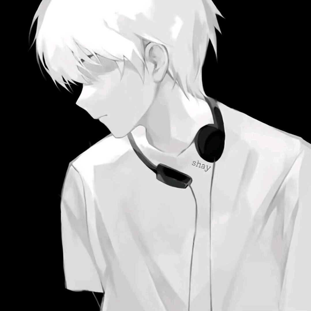 小鹤