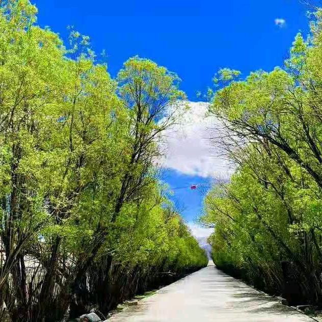 ལྷག་པ།💫