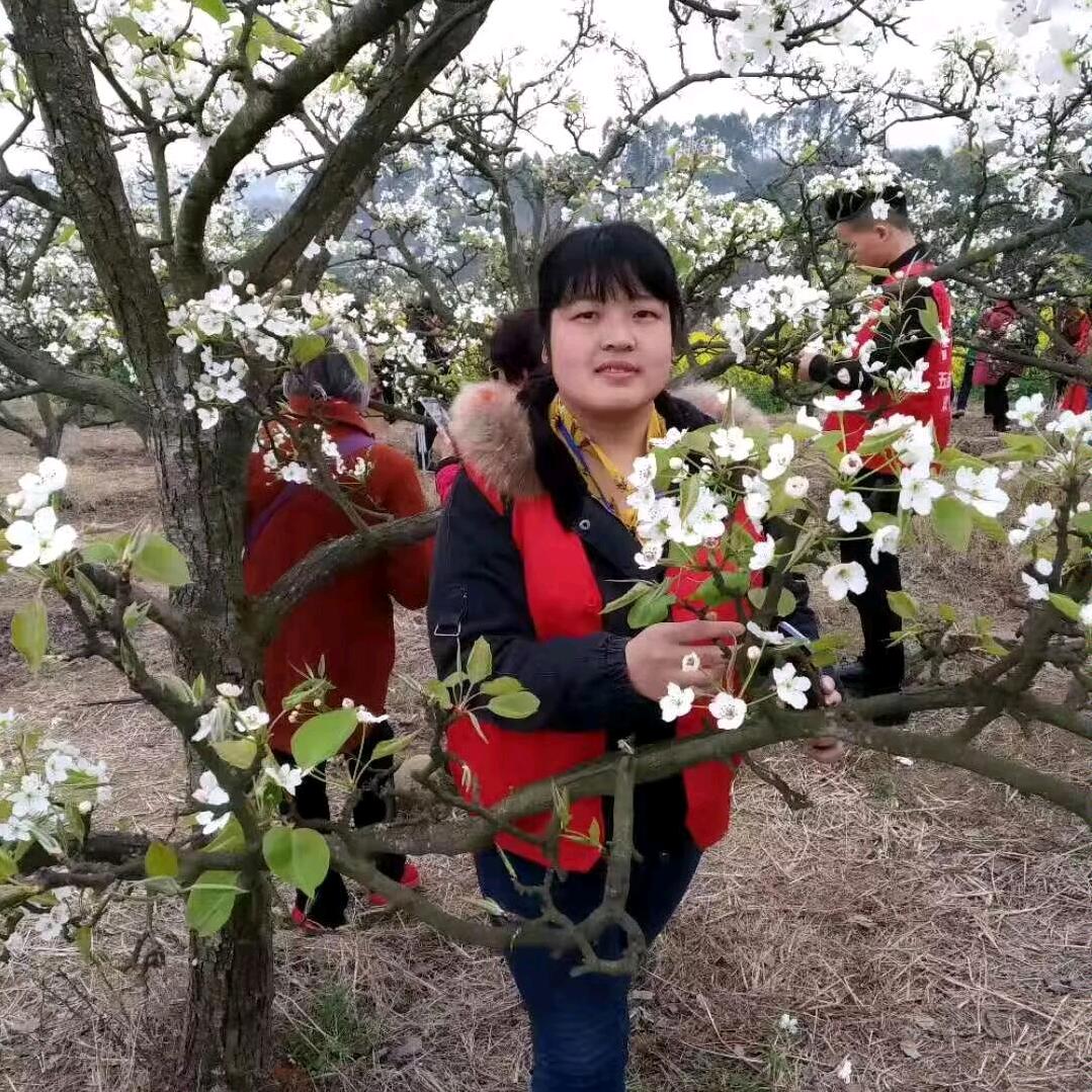 洋洋