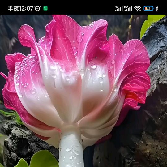 霞