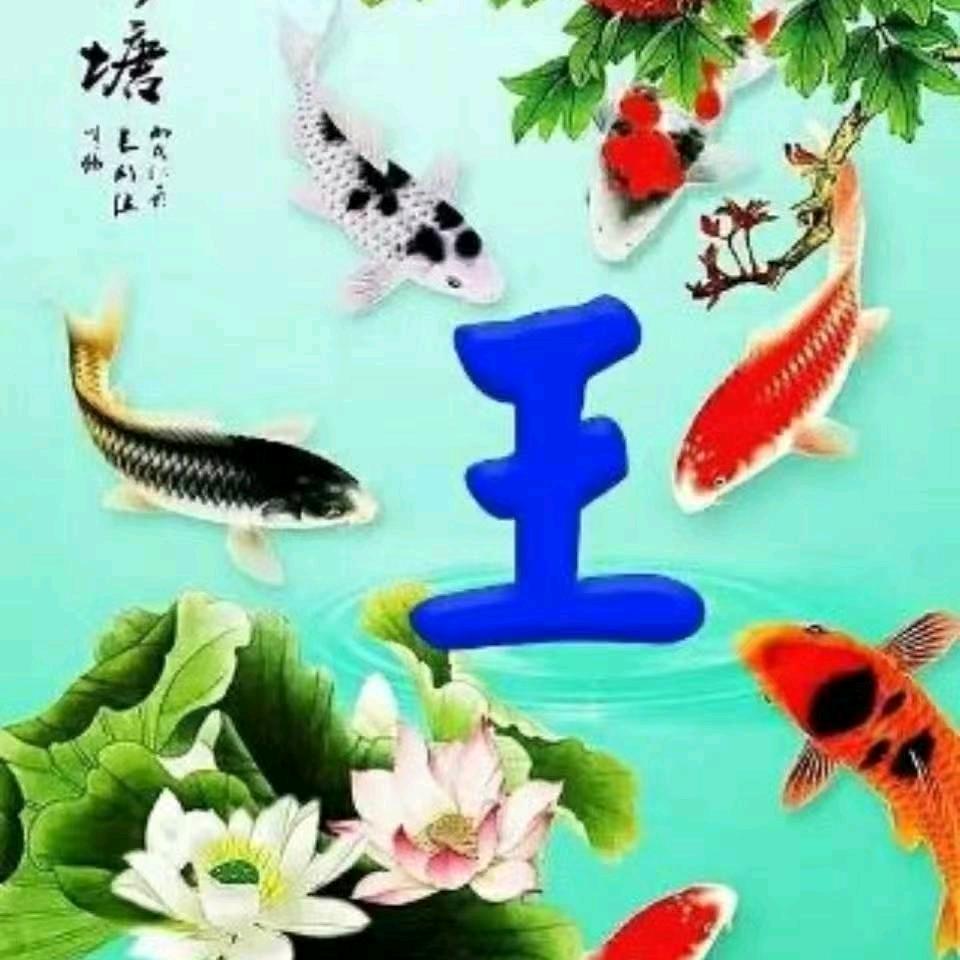 👃一场游戏一场梦👃