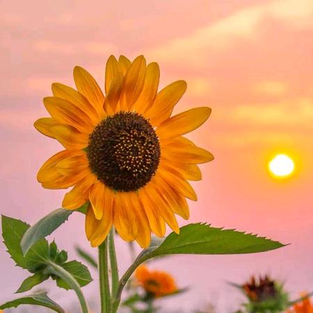 小别兔别又别(〜￣▽￣)〜