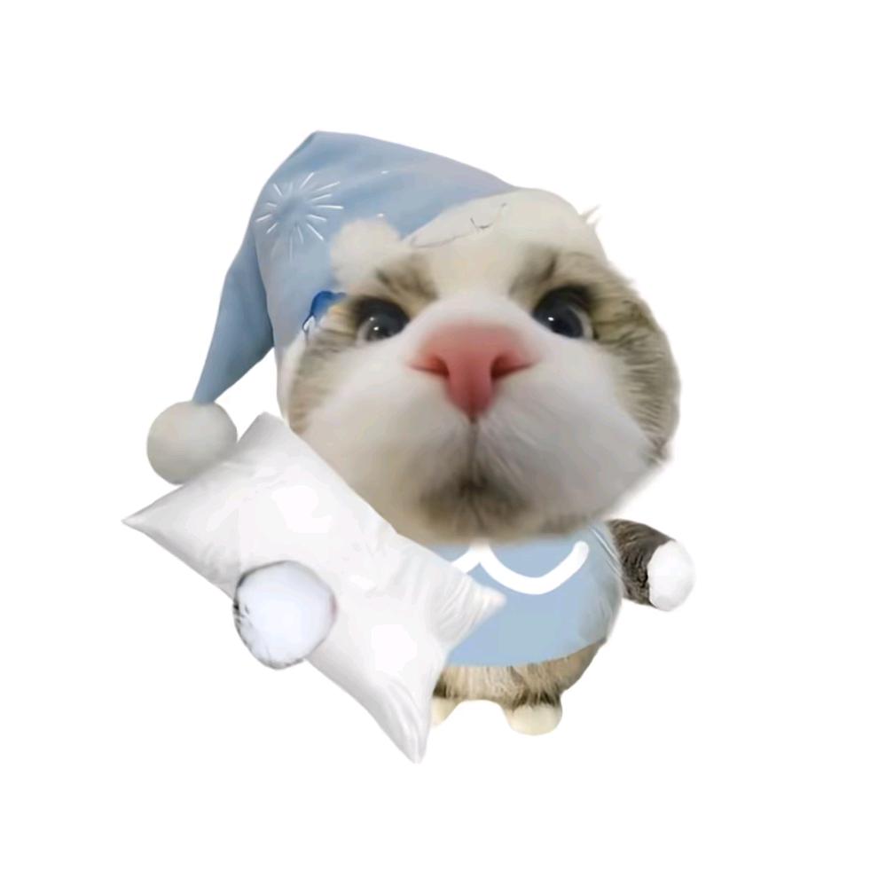 💤