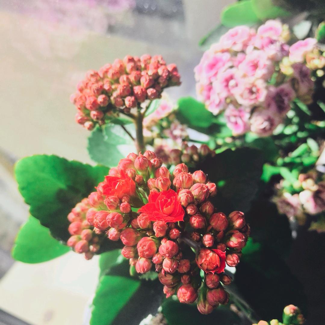 凭栏听风