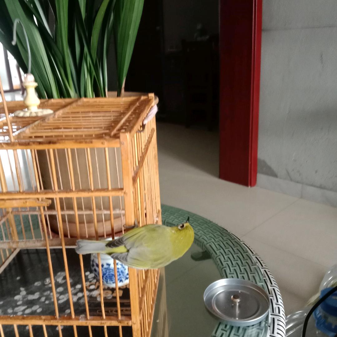 让着你
